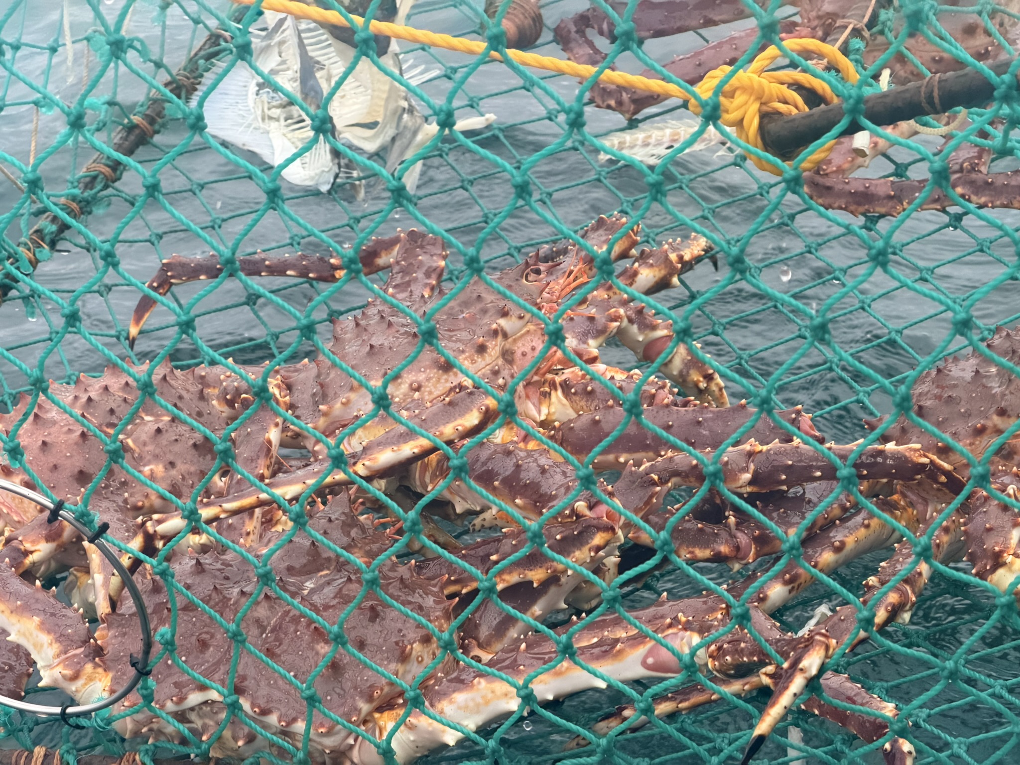 Crabbing in Southeast Alaska